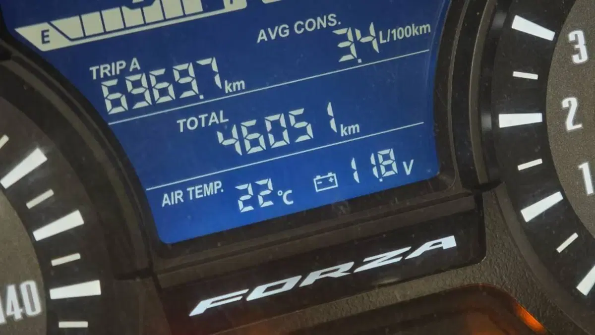 Honda Forza 300 (2019 - 20)  (3)