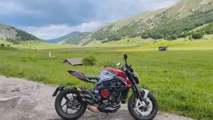 MV Agusta Brutale 800 RR SCS (2020)  (4)