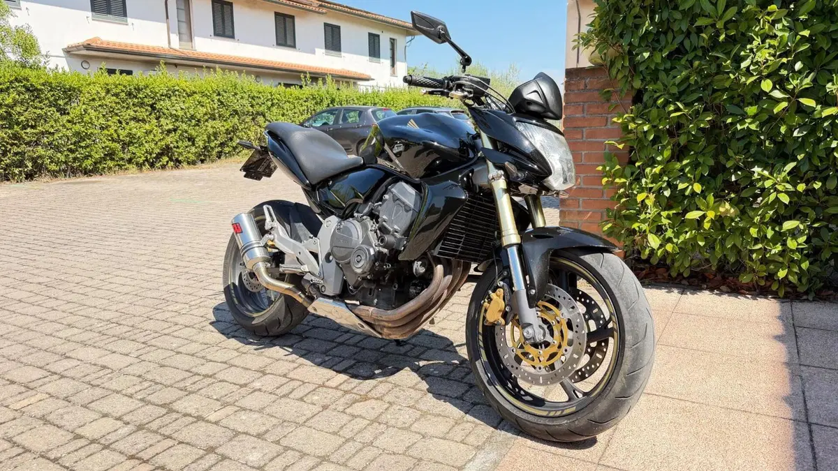 Honda Hornet 600 (2007 - 10)  (2)