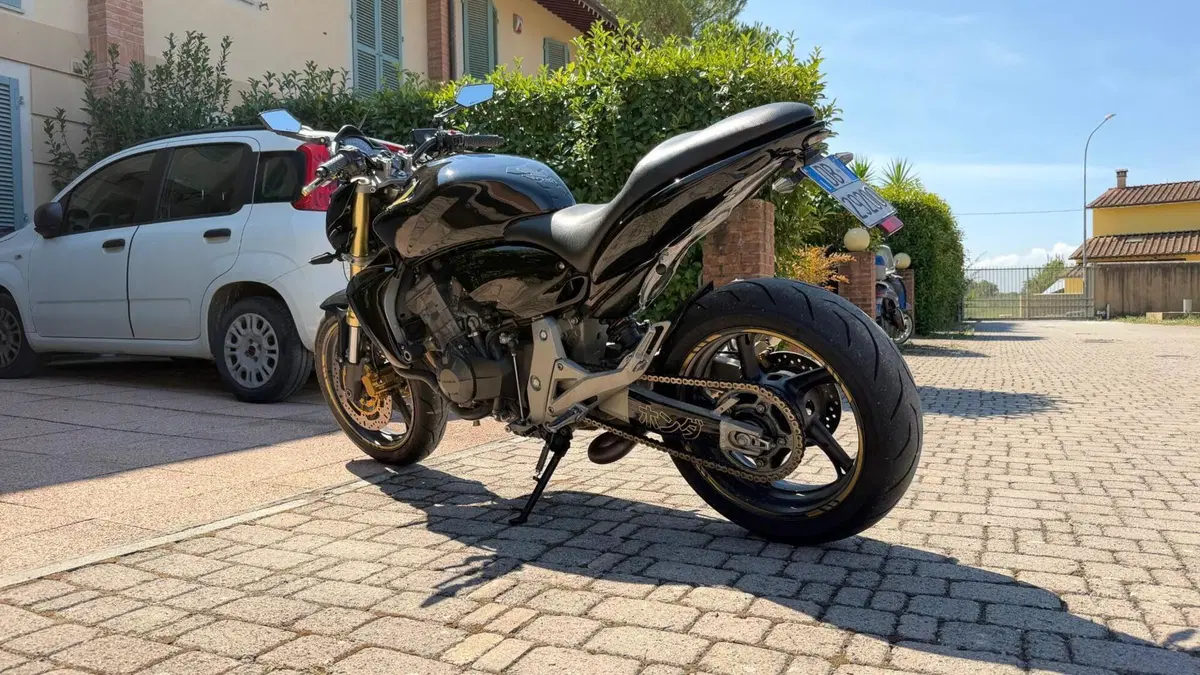 Honda Hornet 600 (2007 - 10)  (4)