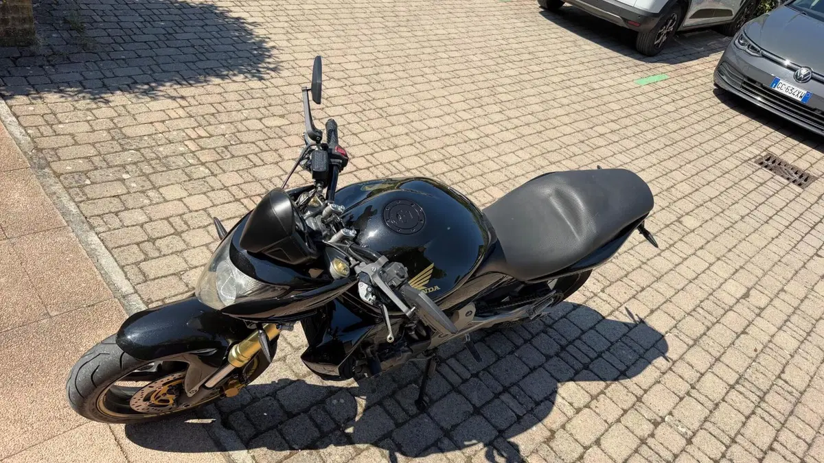 Honda Hornet 600 (2007 - 10)  (7)
