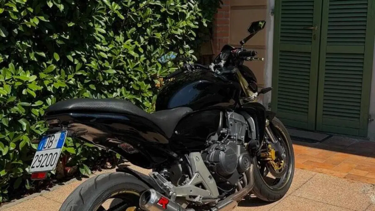 Honda Hornet 600 (2007 - 10)  (8)