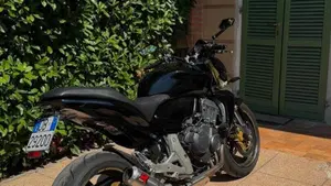 Honda Hornet 600 (2007 - 10)  (8)