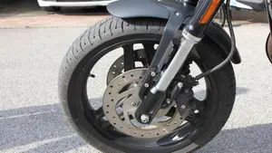 Harley-Davidson 1200 XR (2009 - 12)  (6)