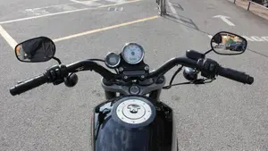 Harley-Davidson 1200 XR (2009 - 12)  (7)
