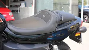 Harley-Davidson 1200 XR (2009 - 12)  (9)