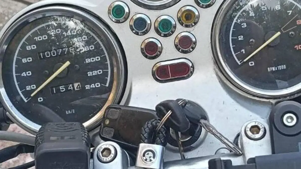 Bmw   (5)