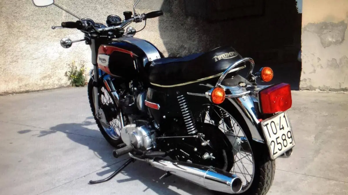 Triumph   (3)
