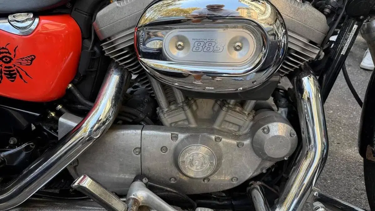 Harley-Davidson 883 Low (2008 - 12) - XL 883L  (3)