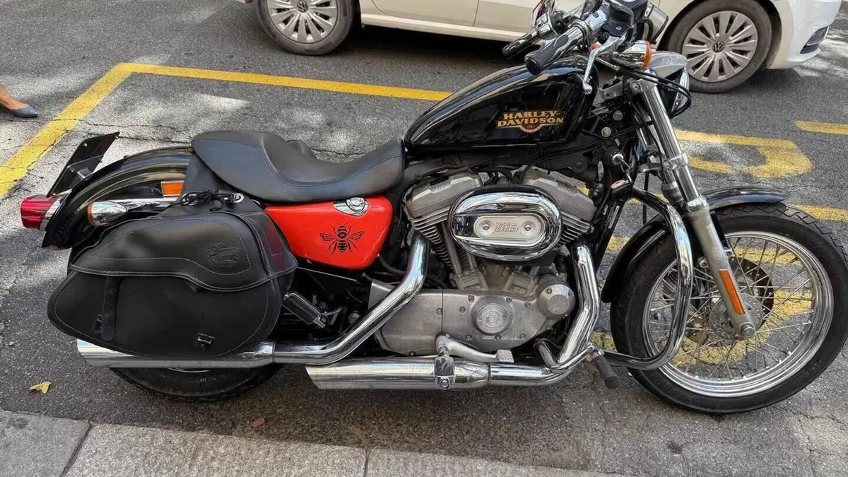 Harley-Davidson 883 Low (2008 - 12) - XL 883L  (4)
