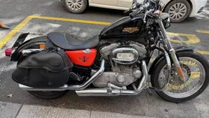 Harley-Davidson 883 Low (2008 - 12) - XL 883L  (4)