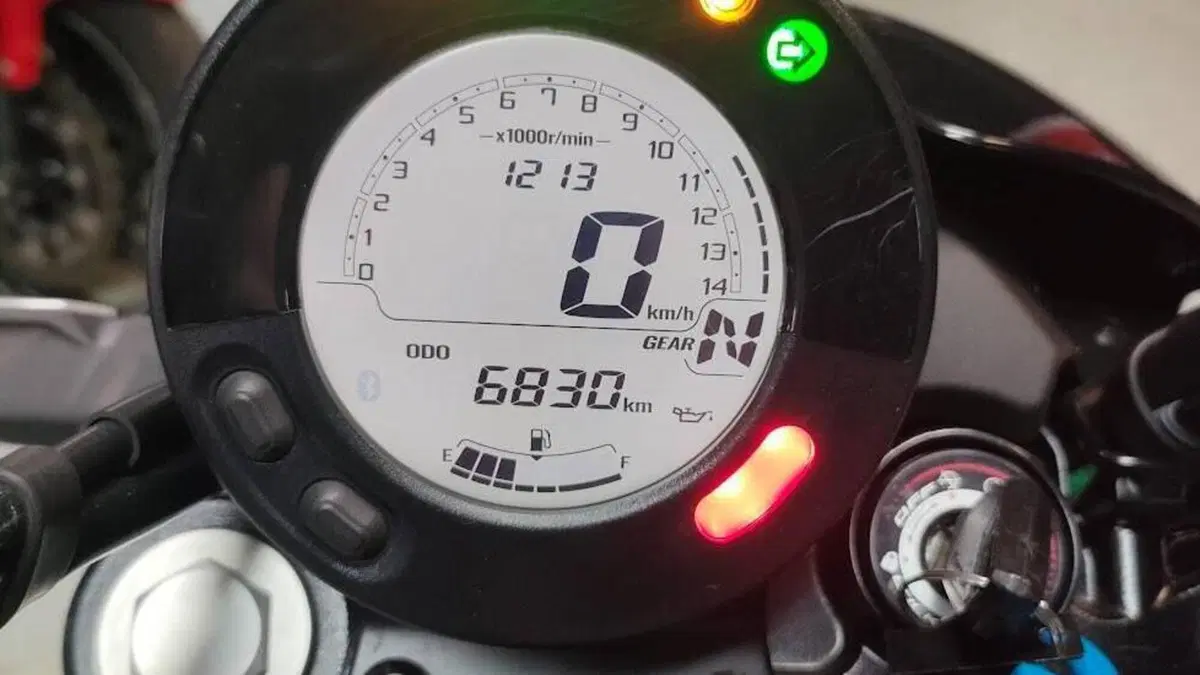 Kawasaki Eliminator 500 SE (2024 - 27)  (3)