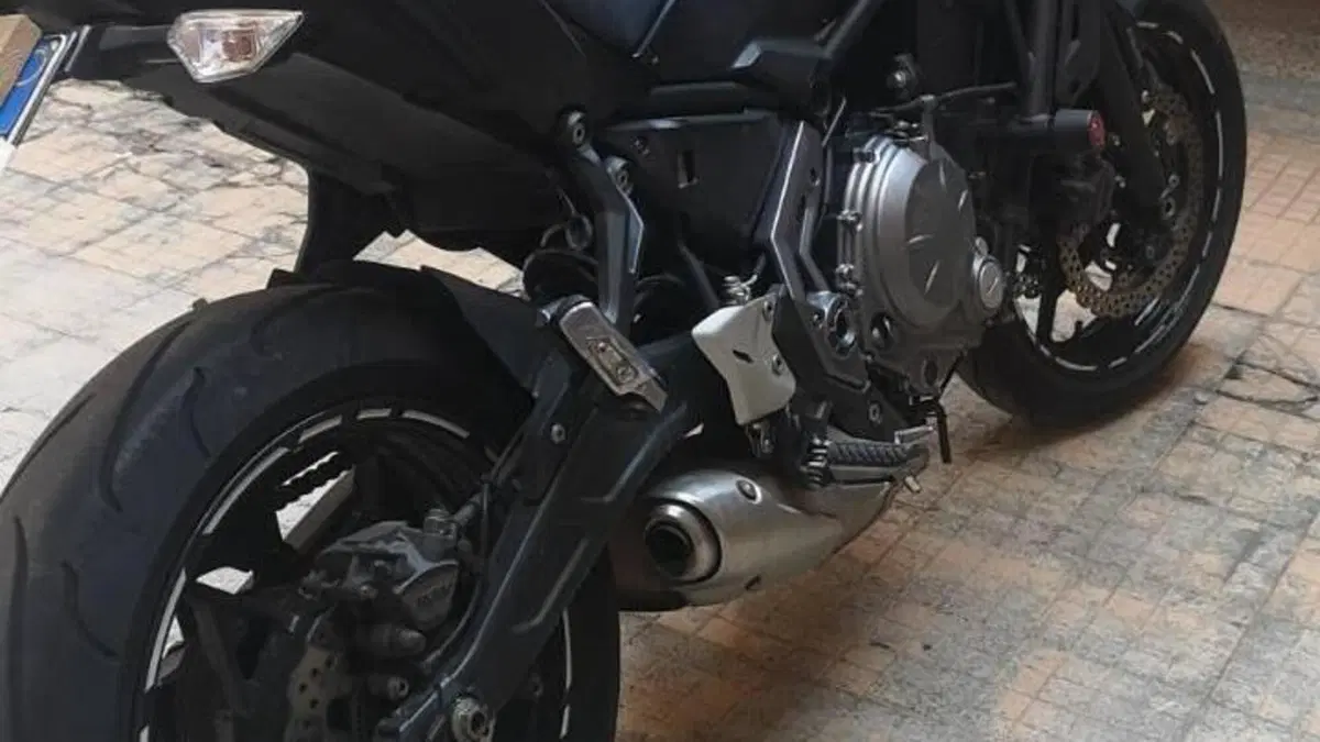 Kawasaki Z 650 (2017 - 19)  (2)