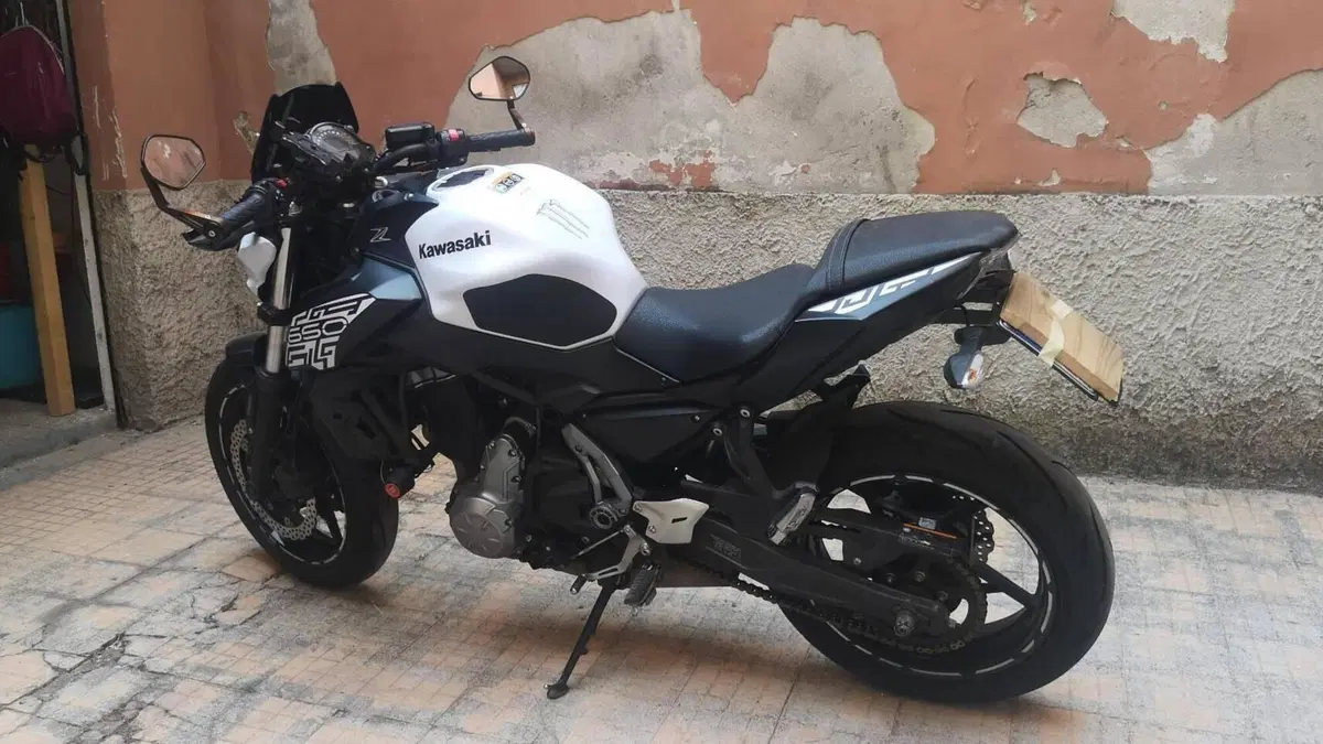 Kawasaki Z 650 (2017 - 19)  (9)