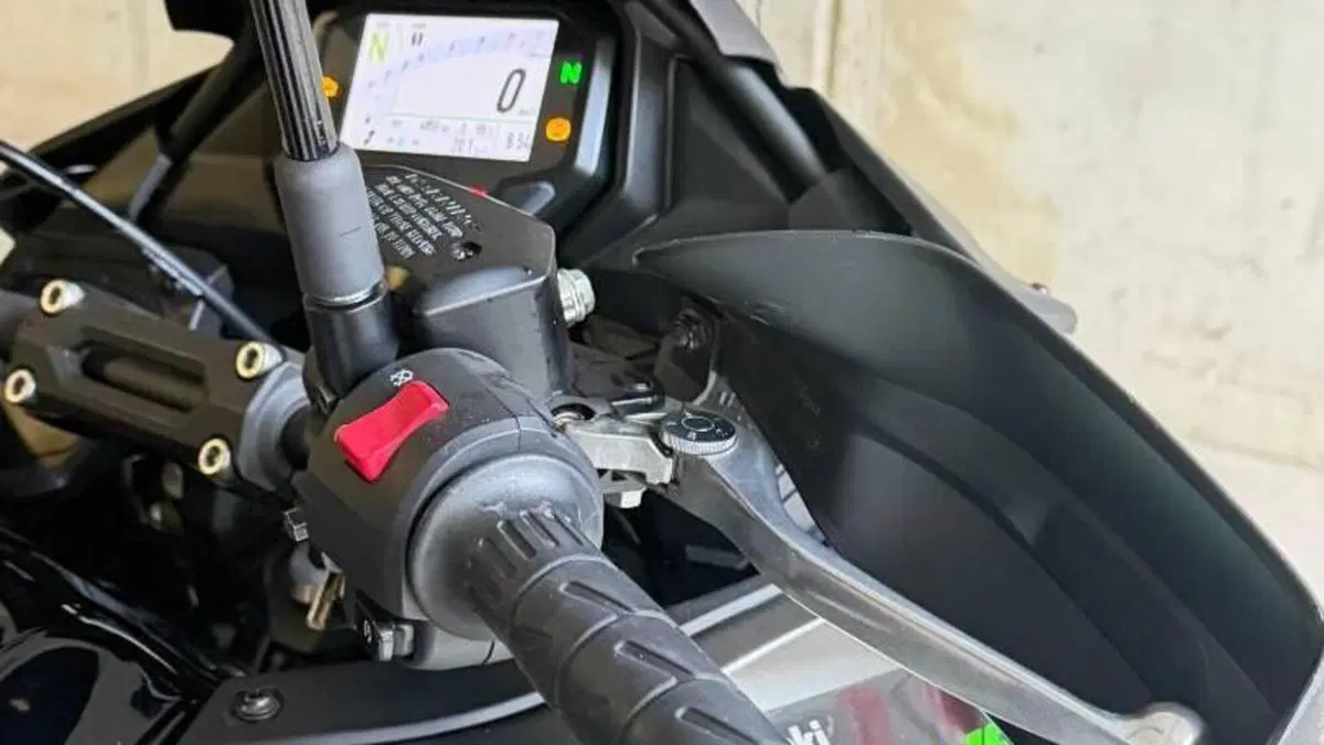 Kawasaki Versys 650 (2025 - 27)  (10)