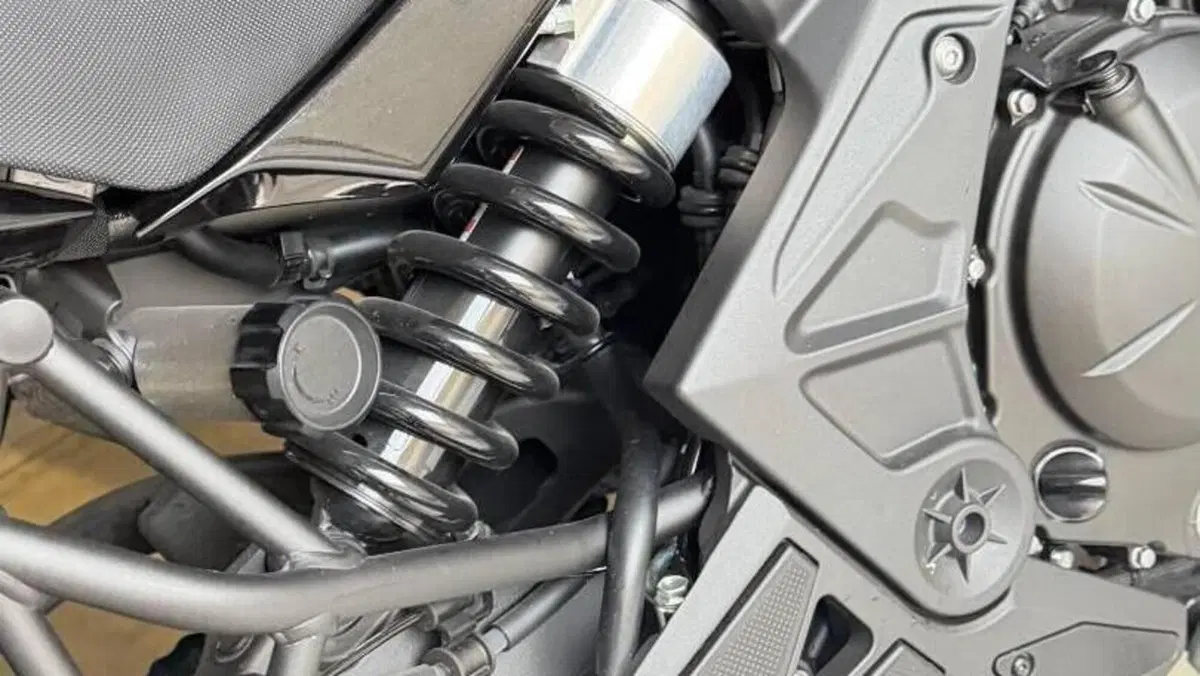 Kawasaki Versys 650 (2025 - 27)  (11)