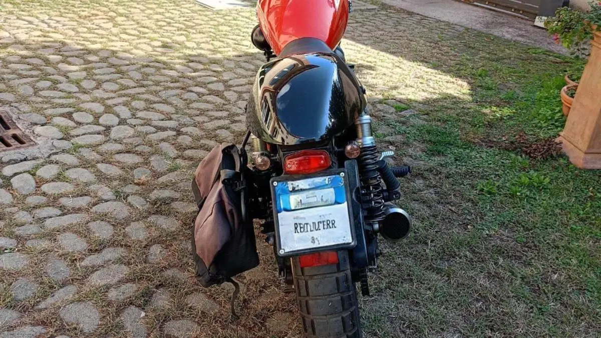 Triumph Bonneville SE (2009 - 13)  (4)