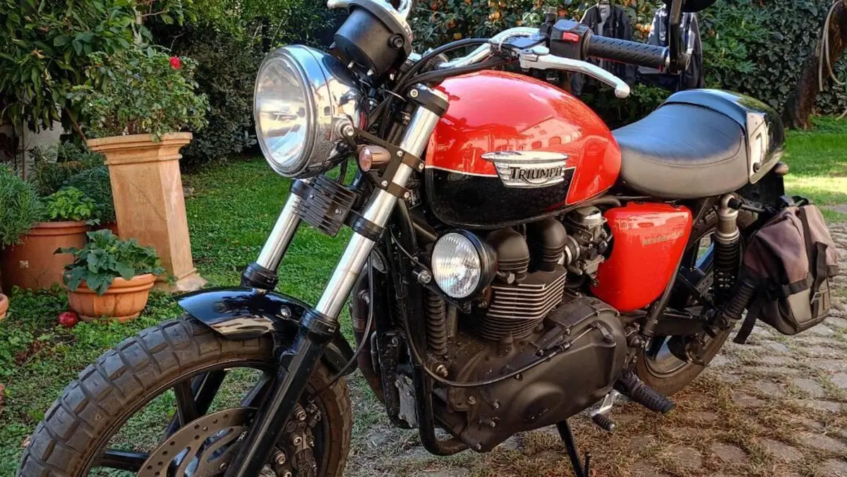 Triumph Bonneville SE (2009 - 13)  (6)