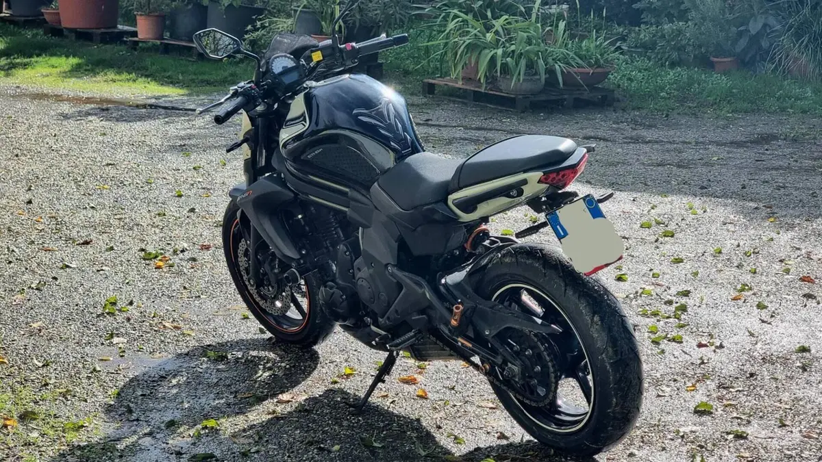 Kawasaki ER-6N ABS (2012 - 16)  (3)