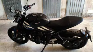 Triumph Trident 660 (2025)  (5)