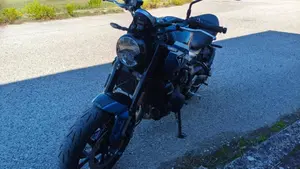 Triumph Trident 660 (2025)  (6)