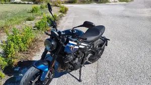 Triumph Trident 660 (2025)  (8)