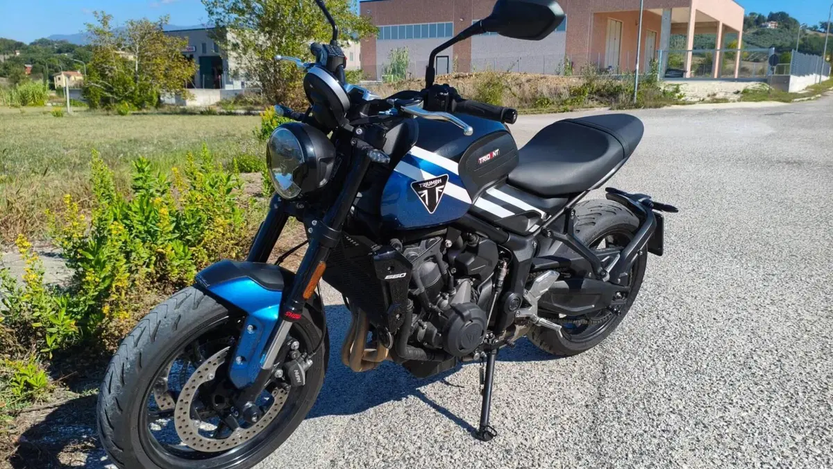 Triumph Trident 660 (2025)  (9)