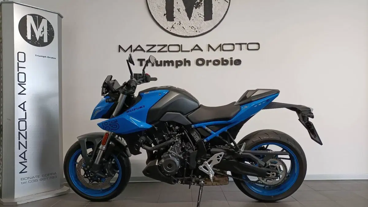 Suzuki GSX-8S (2023 - 24)  (4)