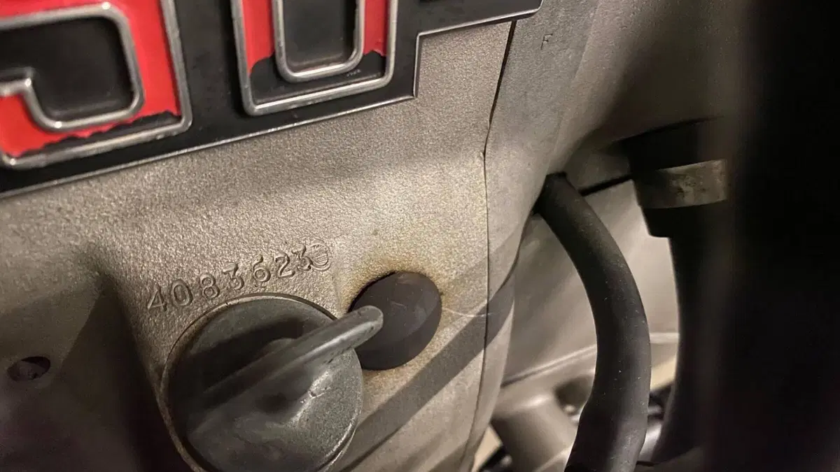 Bmw   (5)