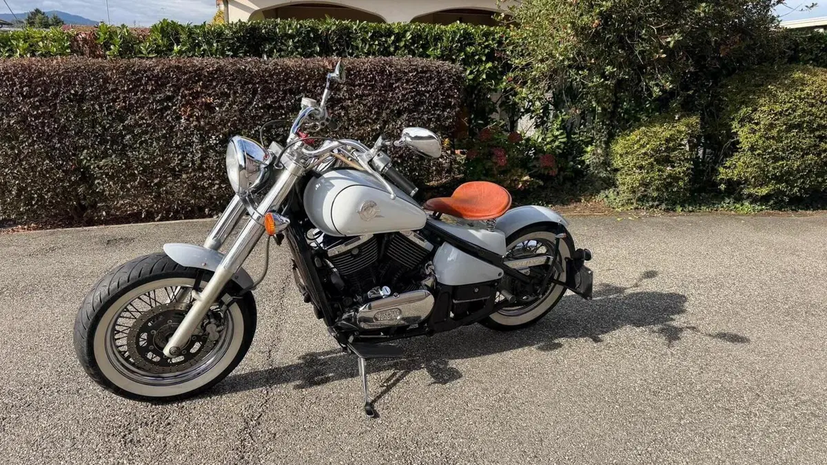 Kawasaki VN 800 Drifter (1999 - 00)  (3)