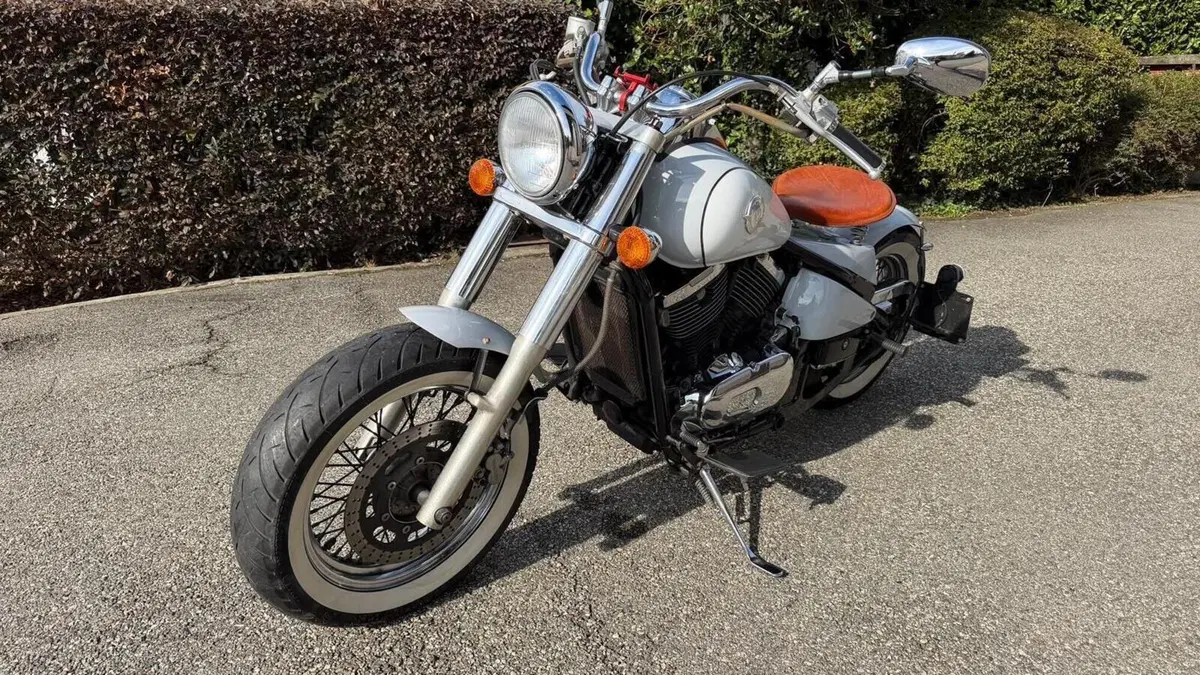 Kawasaki VN 800 Drifter (1999 - 00)  (5)