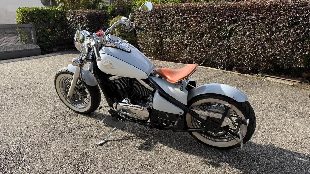 Kawasaki VN 800 Drifter (1999 - 00)  (6)