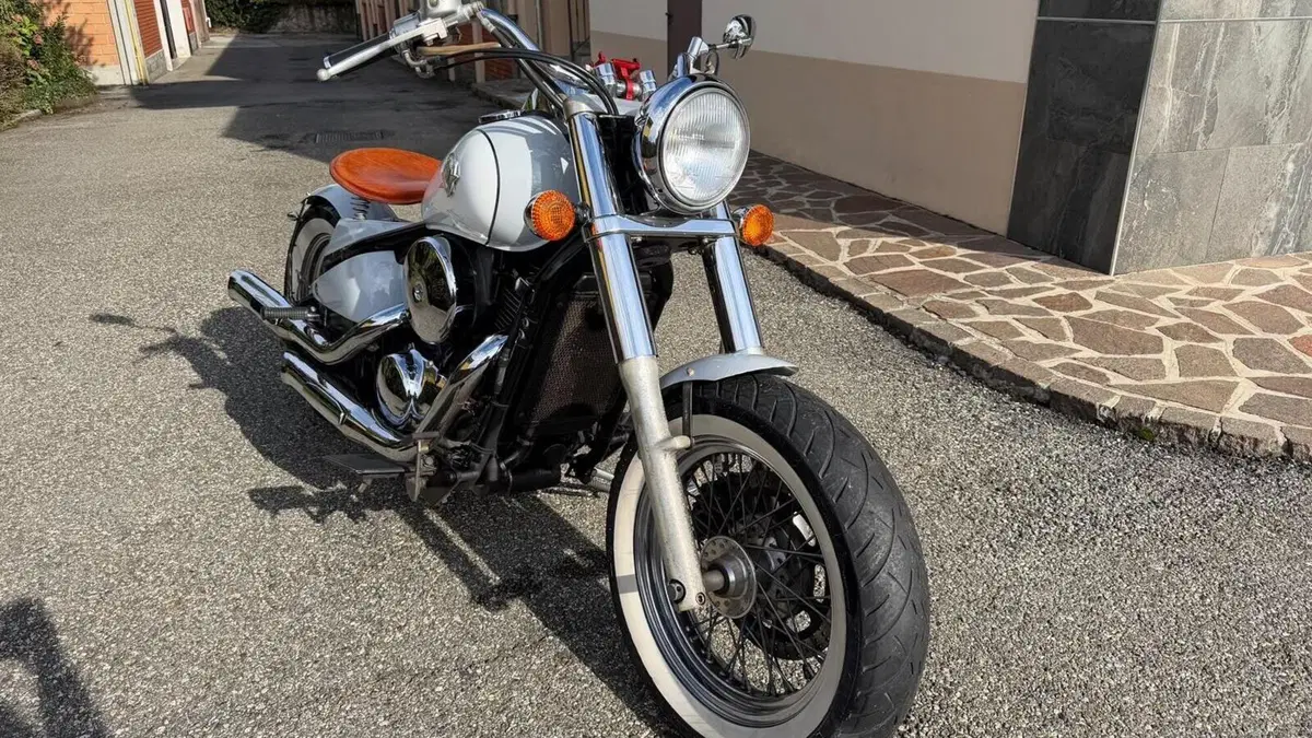 Kawasaki VN 800 Drifter (1999 - 00)  (7)