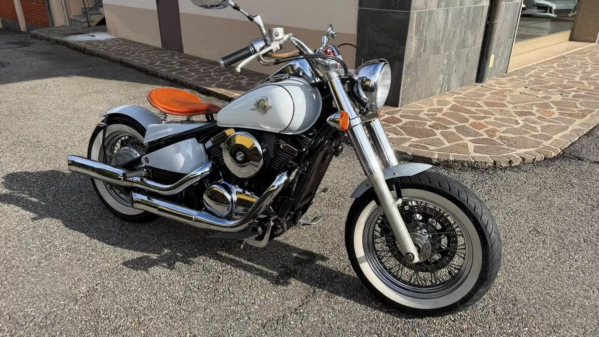 Kawasaki VN 800 Drifter (1999 - 00)  (8)