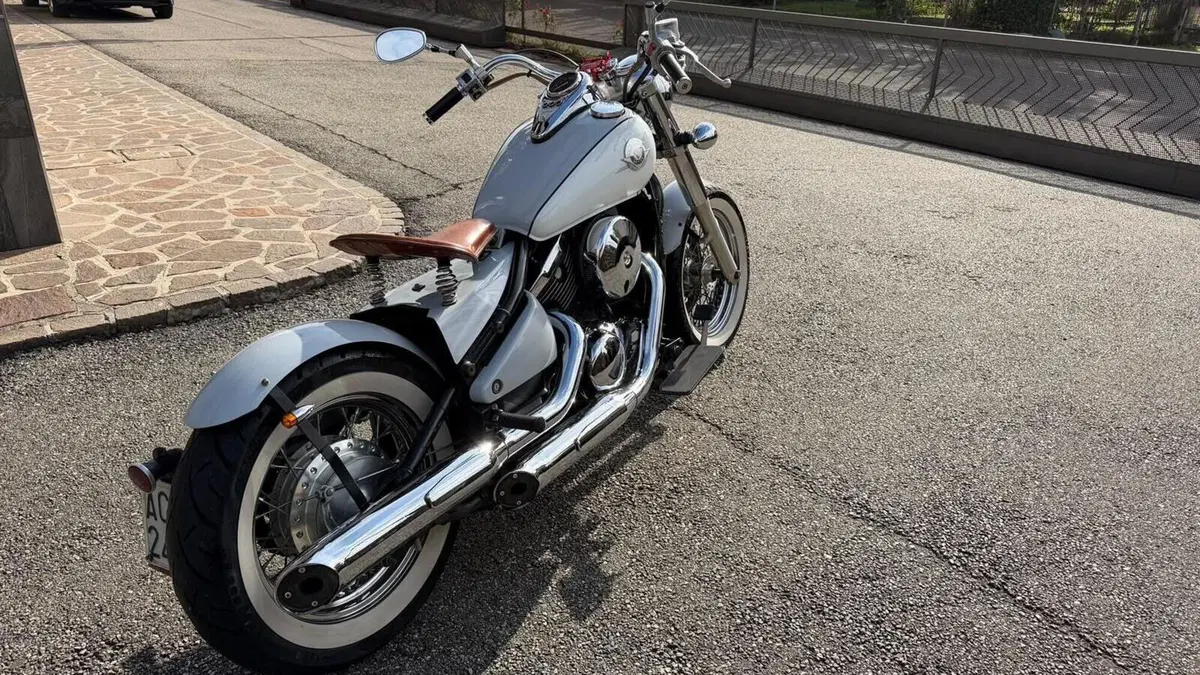 Kawasaki VN 800 Drifter (1999 - 00)  (9)