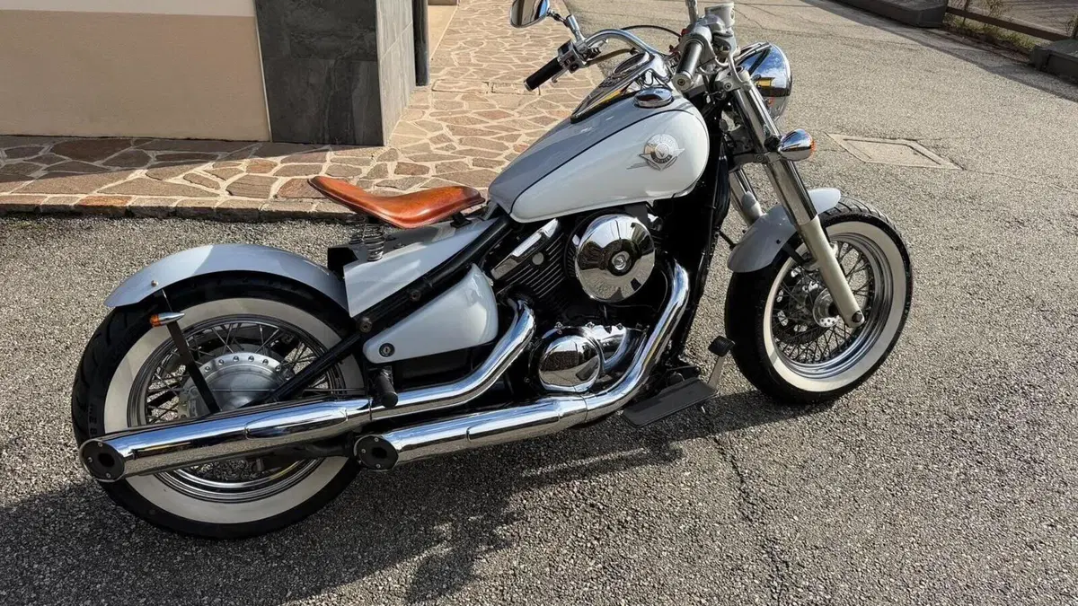 Kawasaki VN 800 Drifter (1999 - 00)  (10)