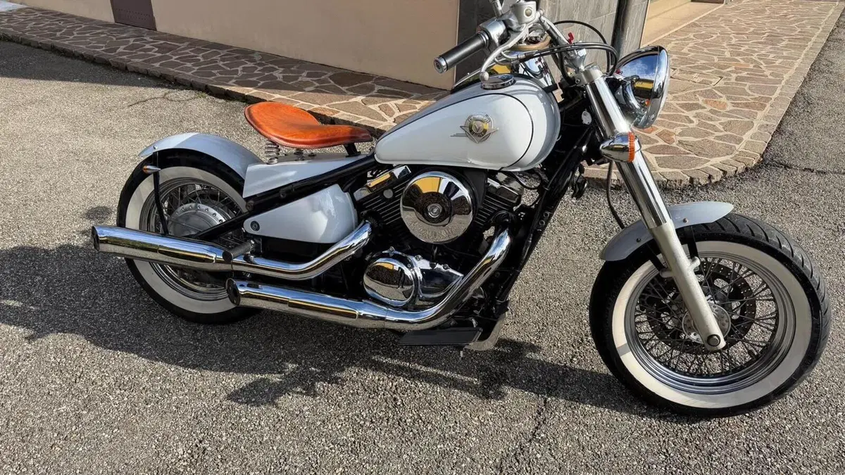Kawasaki VN 800 Drifter (1999 - 00)  (11)
