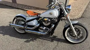 Kawasaki VN 800 Drifter (1999 - 00)  (11)