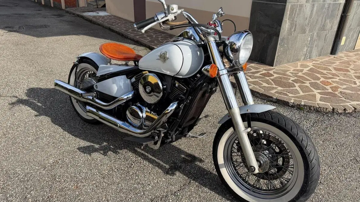 Kawasaki VN 800 Drifter (1999 - 00)  (12)