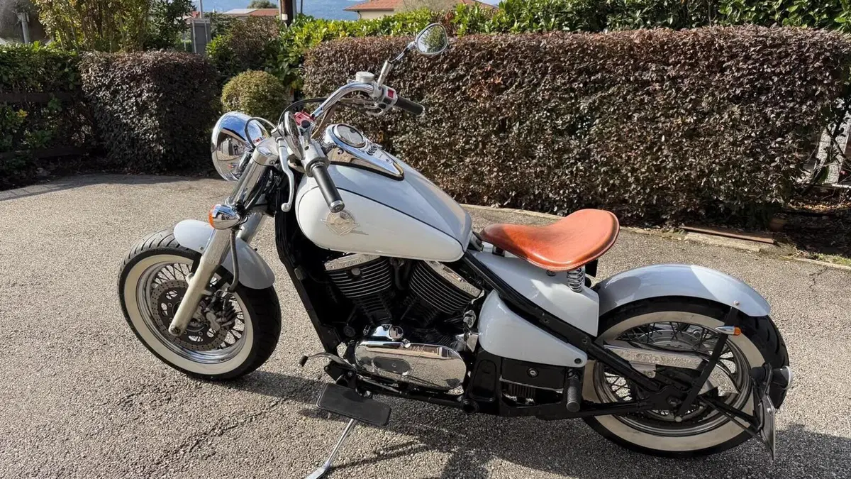 Kawasaki VN 800 Drifter (1999 - 00)  (14)