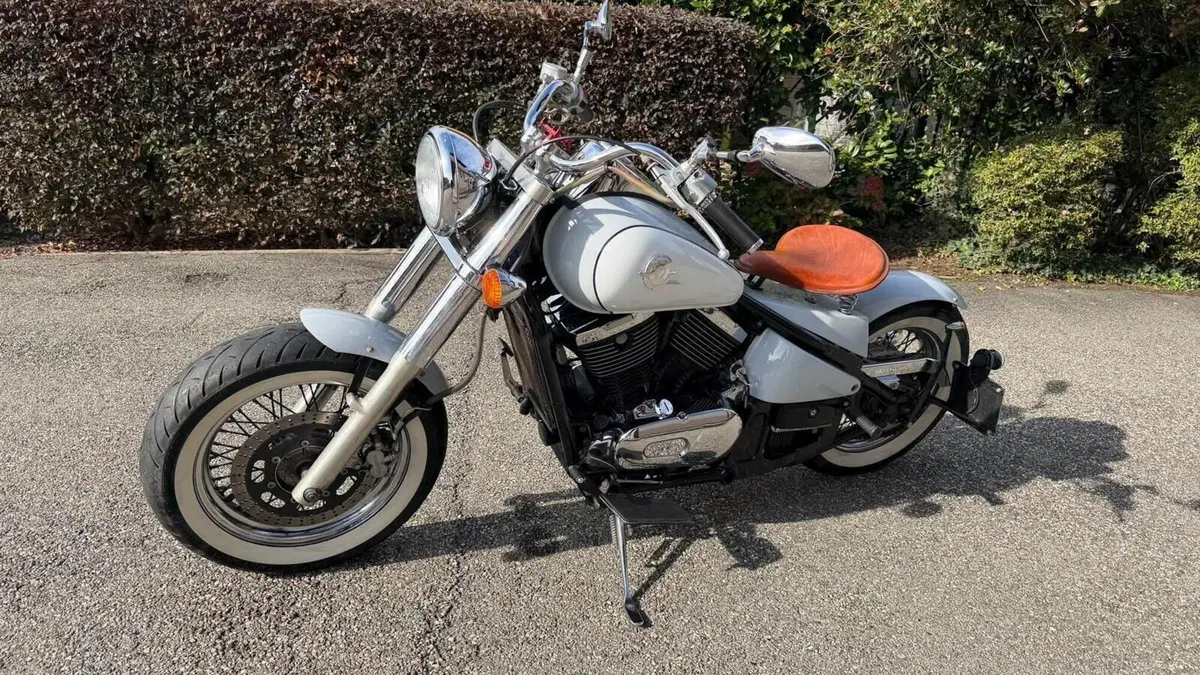 Kawasaki VN 800 Drifter (1999 - 00)  (15)