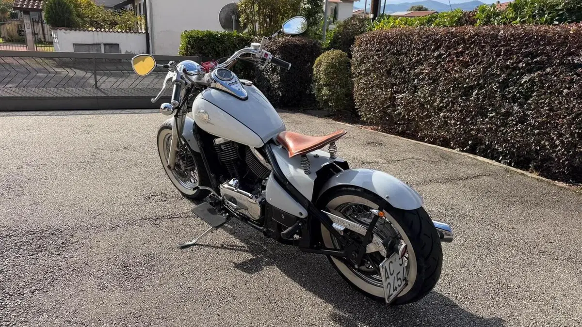 Kawasaki VN 800 Drifter (1999 - 00)  (16)