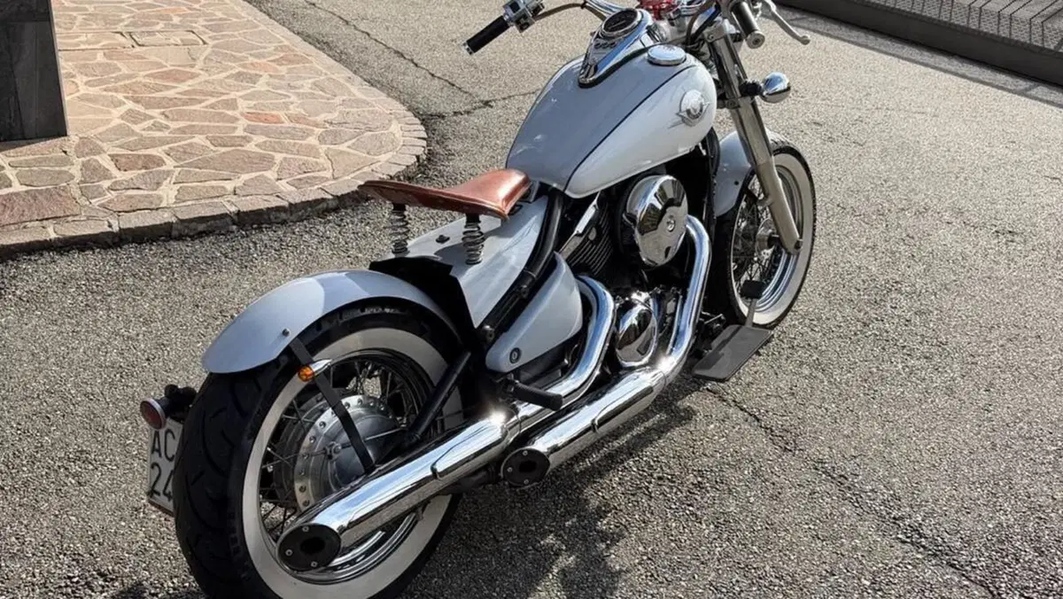 Kawasaki VN 800 Drifter (1999 - 00)  (17)