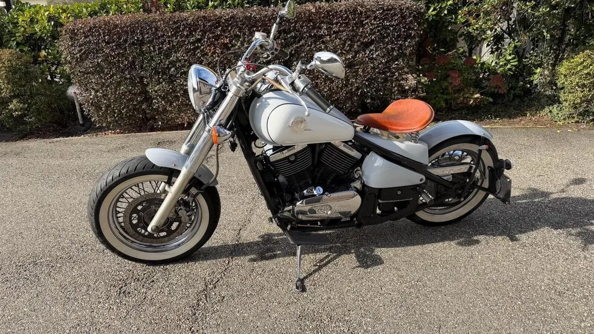Kawasaki VN 800 Drifter (1999 - 00)  (19)