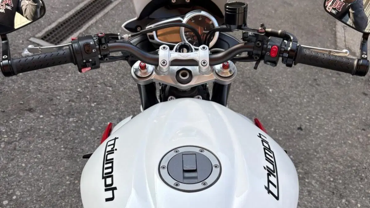 Triumph Street Triple R (2013 - 14)  (4)