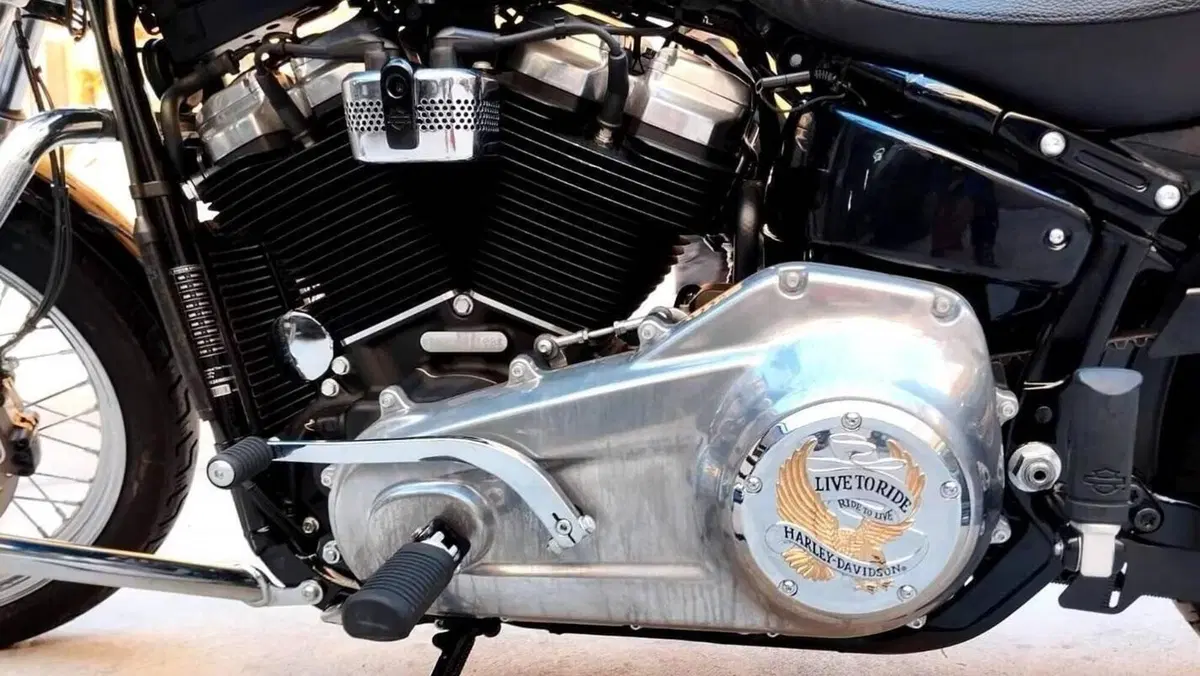 Harley-Davidson Softail Standard (2020) - FXST  (3)