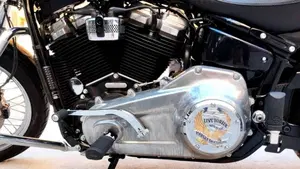 Harley-Davidson Softail Standard (2020) - FXST  (3)