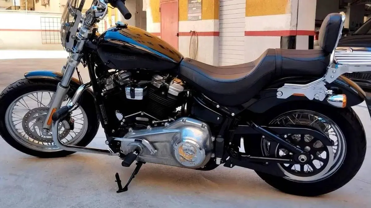 Harley-Davidson Softail Standard (2020) - FXST  (2)