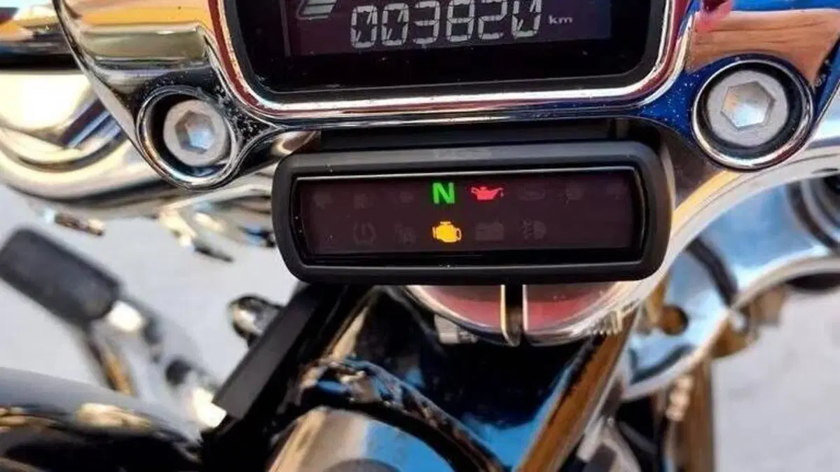 Harley-Davidson Softail Standard (2020) - FXST  (4)