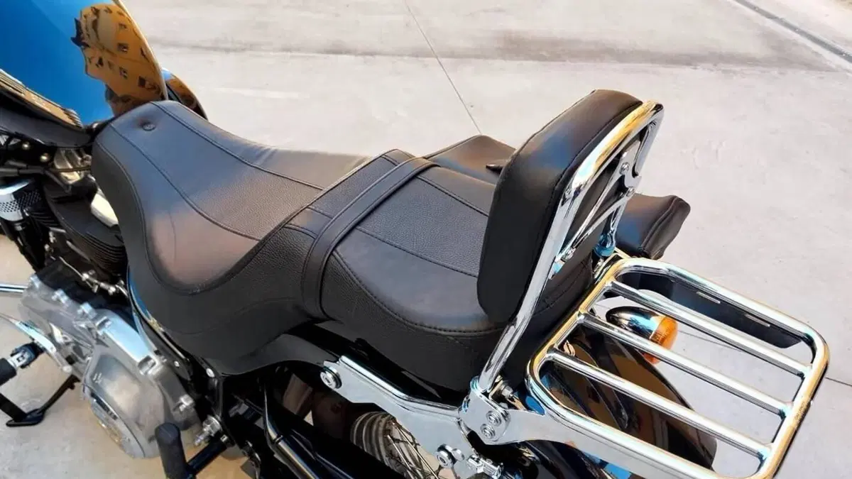 Harley-Davidson Softail Standard (2020) - FXST  (5)